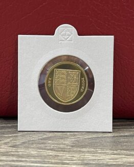 2010 Shield PROOF £1 coin