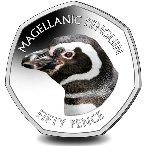 2018 Falkland Penguins II Magellanic Coloured 50p BU in Capsule