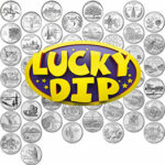 Lucky Dip 5x U.S State / National Park Quarters