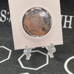 Kew Gardens Coin 2009 - View 2