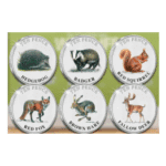 The 2021 Woodland Mammals Guernsey Colour 10p Set