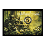 CHINESE PANDA 1/1000 Oz Gold Coin 50¢ Niue 2026 Capsule ON CARD - BRAND NEW